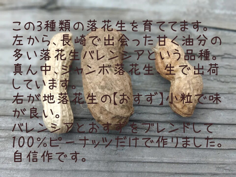 25年新豆　濃厚な味わい　都農町産クラフトピーナッツバター スムース　110g X 2瓶