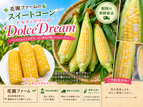 直送！ドルチェドリーム 糖度15～16度！美しい二色の粒が特徴の希少