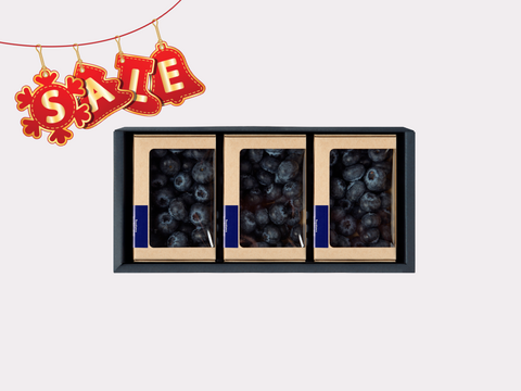 ☆セール中☆【冬の国産生ブルーベリー】100g×3pc〈トヨヒルセット【C】〉