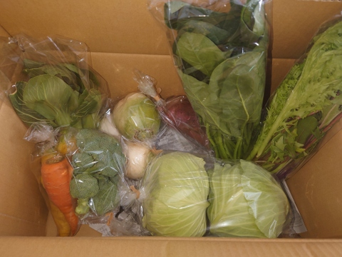 Mサイズ ＊旬野菜セット(約8~9品)【農薬：栽培期間中不使用】