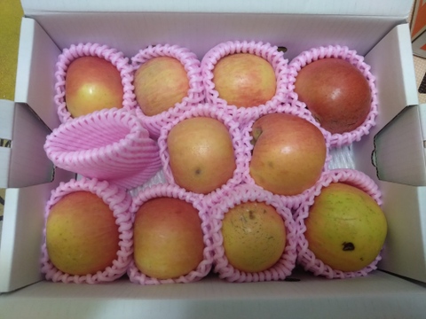 予約販売　まるせい果樹園の高徳(こうとく)　1.8ｋ　訳あり　自家用　家庭用　rk3