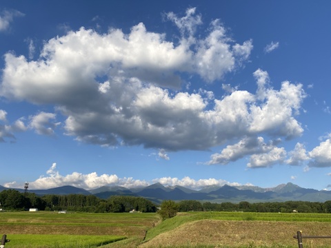 【令和7年度産】農薬・化学肥料・動物性堆肥不使用 たかきび 1kg