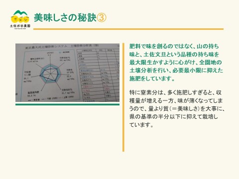 🏆食べチョク柑橘グランプリ銀賞　土佐文旦　家庭用　大玉　3㎏(4～5個)　黄色いしあわせ®　高知県土佐市産　”北海道への配送専用商品です”