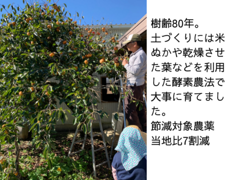 <メール便>保存料不使用　新しい食感の干し柿　40ｇ×6パック　食べきりサイズ　静岡県産　樹齢80年の次郎柿使用　砂糖不使用　保存料不使用　 メール便