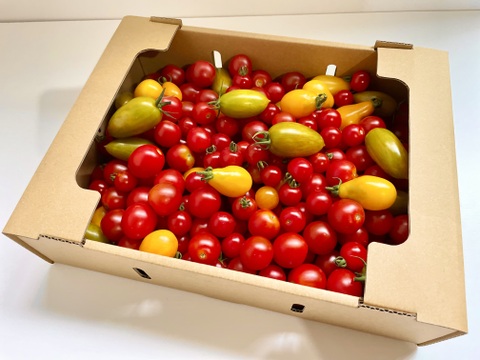 ミニトマト(オーガニック)3kg