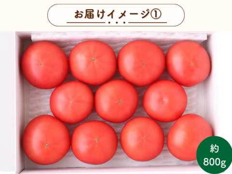 【まもなく終了】【4/14まで】甘みとコクのある上品な味わいのトマト 熊野薬草園のセレブトマト(約800g)