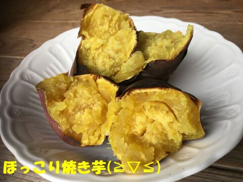 【自然栽培】　さつまいも（紅あずま）５kg　S～４Lのmix　農薬不使用・無肥料栽培　【岐阜県産】【収穫時期2024年9月上旬】