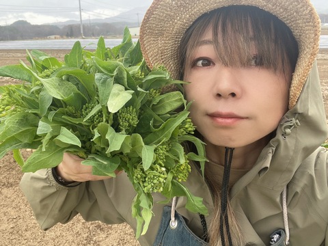 (60)嫌ほど菜花食べたい人へ [信州産] サラダで食べれる！野沢菜の菜花を箱いっぱい！