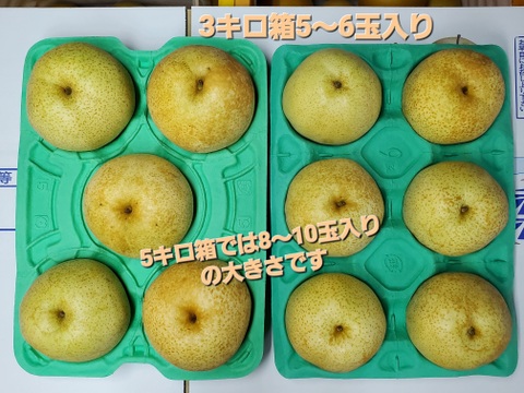 まぼろしの梨、「かおり」梨3キロ箱入り×2箱梱包