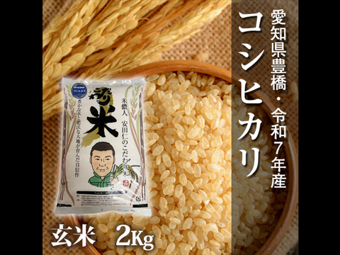 【節減対象農薬6割減】コシヒカリ 玄米2kg【令和7年・愛知県産】