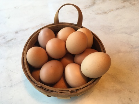 生食に最適！ 放し飼いの鶏が産んだ卵１０個入り