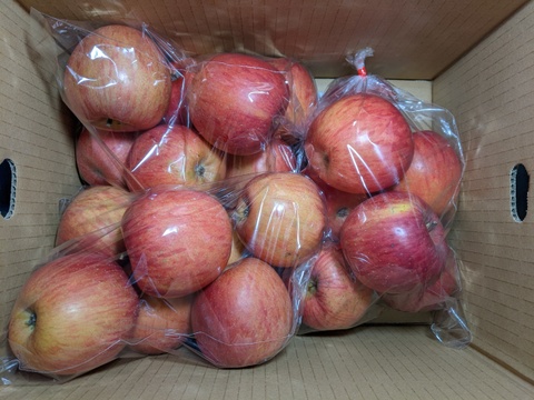 りんご小サイズ