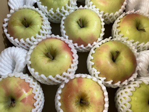 【販売開始！贈答用】 青森県産りんご「ぐんま名月」 約5kg×2箱【光センサー選果】【冬ギフト】