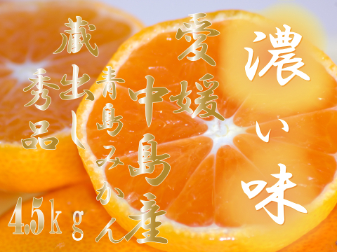 濃厚完熟　蔵出し　青島みかん　秀品・4.5ｋｇ
