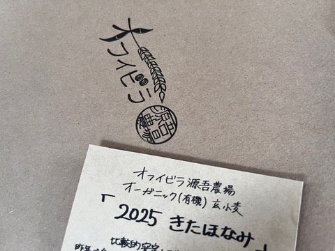 きたほなみ4kg　オーガニック（有機）玄小麦 2025年産　※小麦粉じゃありません
