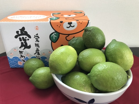 身体に美容に嬉しい香酸柑橘セット【グリーンレモン2㌔・本柚子1㌔】ご家庭用(3kg)