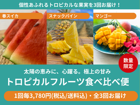 【食べチョク旬の食べ比べ便】マンゴー（アーウィン種）