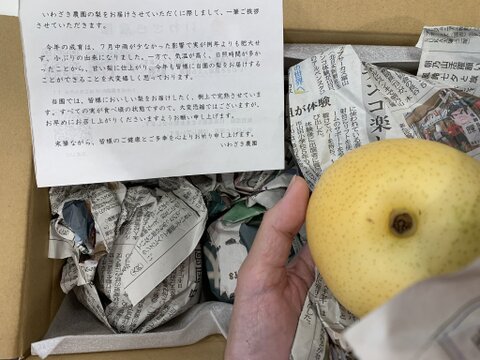 【完熟収穫】富山県産二十世紀梨（徳用・ご家庭用１.８kg）