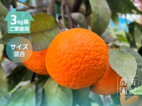 さっぱり濃甘🍊南津海【見た目訳アリ・サイズ混合・3kg箱】