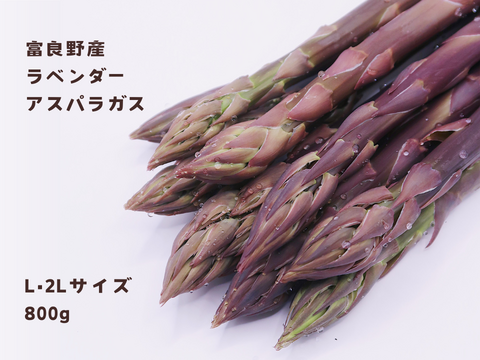 【希少】富良野産　ラベンダーアスパラ（L・2Lサイズ 800g）