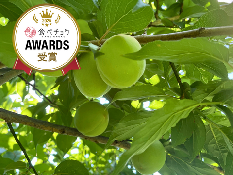 朝もぎ当日発送！紀州南高梅 青梅 5kg【特別栽培】（梅酒・シロップ用／訳あり）