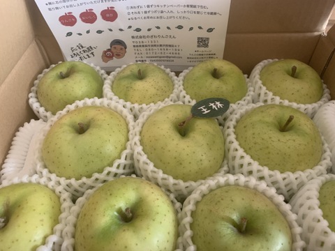 ★★大幅値下げ★★🍏芳醇な香り【王林】🍏１０～１２玉 約３キロ  （家庭用）商品ID118229 青森 りんご 青