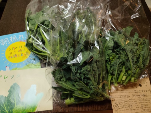 【大好評😀】糖度が　グッ　とあがった　『春の茎ブロッコリー（アレッタ）』　1200g” from 名水の里　神奈川県秦野市