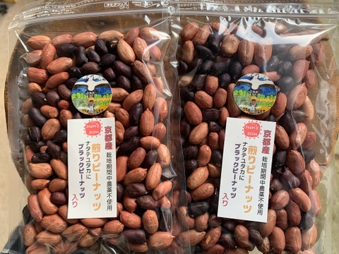 京都府京丹後産　ブラックピーナッツ入り煎りピーナッツ　自然栽培　1袋１８０ｇ×2パック