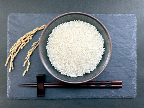 【県知事賞受賞】有馬温泉の麓産 新米コシヒカリ(白米)5kg ホタルの生息する場所です🏞️ 兵庫県産コシヒカリ《9月末頃〜発送🚛³₃》【令和7年新米】