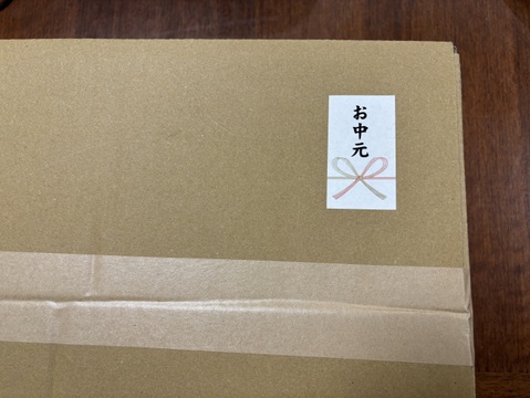 朝採り、当日発送！🌞甘みたっぷりスイートコーン！🌽12本入り【令和7年6月発送・予約限定】