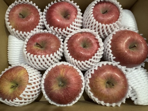 【販売中！人気商品】青森県産りんご「サンふじ」家庭用 キズ有 約3kg 【美味・光センサー選果済】