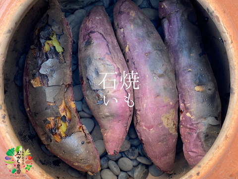 有機JAS認証野菜 さつまいも ご家庭用 サイズ混合 5kg