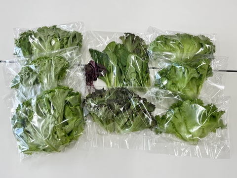 箱入娘の新鮮野菜！『デリサラダ』1㎏