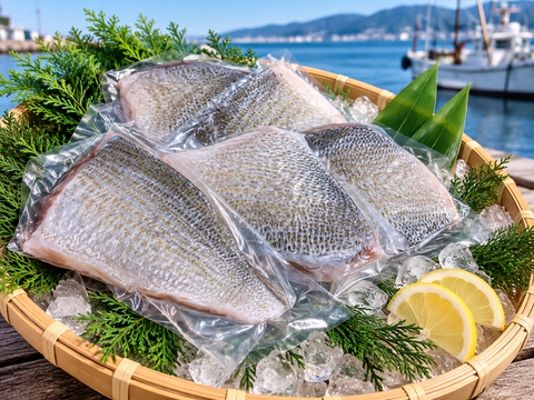 知る人ぞ知る大阪湾の白身魚！ヘダイフィレ【加熱用】：大阪府産の鯛