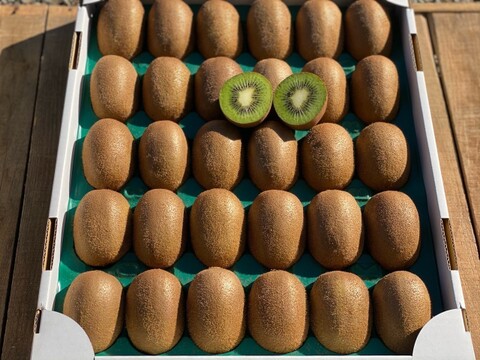 農薬・化学肥料不使用！スッキリとした甘さと酸味のグリーンキウイ(33玉から36玉)