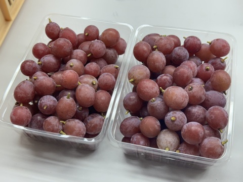 限定価格】400円値引き‼️山梨県産【クイーンニーナ】ご家庭用(訳あり