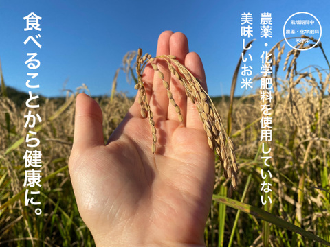 【お米グランプリ2025🏆3部門受賞！】農薬・化学肥料不使用「いのちの壱」白米10㎏（令和7年新米）《お米番付優秀賞受賞農家》加賀米野菜基地