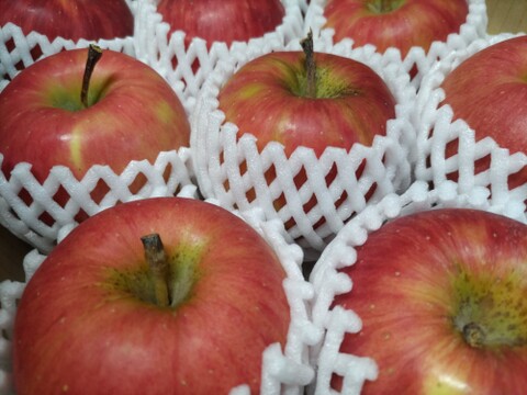 秋田ゆめあかり3キロ　　　今食べごろのりんごです。