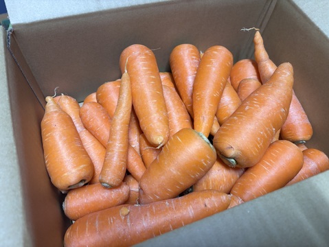 『訳あり』形悪くたって食べて欲しい人参 5kg