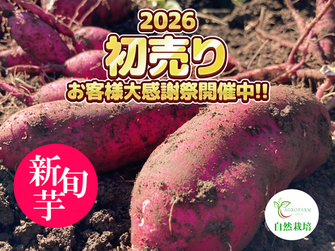 〇2026年 大感謝祭〇 ２ヶ月貯蔵 新旬芋🍠農薬不使用　紅はるか（5kg）【期間限定・特別価格】