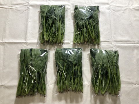 ほうれん草（200g x 3袋）+ 小松菜（250g x 2袋）　＜農薬・化学肥料不使用＞