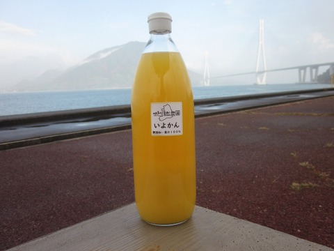 【在庫一掃セール 50%オフ】愛媛県産いよかん(伊予柑)ジュース3本セット