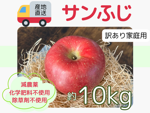 生産農家直送 りんご サンふじ 訳あり 家庭用 10kg 長野県産 信州りんご発祥の地 化学肥料不使用 除草剤不使用 人にやさしく環境にもやさしい