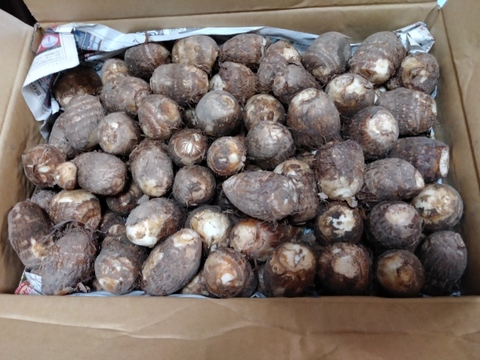 【期間限定】とろーり里芋！『大和早生』（2㎏）Mサイズ