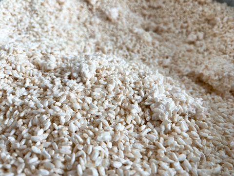 【白米糀】てづくり米糀1K2袋　塩麹、甘酒、お味噌作りにお米の甘み抜群！