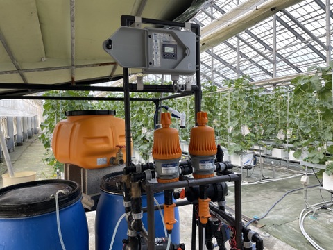 【一株一果のこだわりメロン】【ご家庭用】アールスメロン（２Ｌ以上×２玉）　青肉・赤肉のセット　３㎏程度