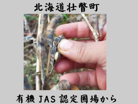 使いやすい「1kg梱包」　風味豊かな農薬不使用の有機黒豆13kg　 北海道の大地で育った「いわいくろ」　１２月１８日ころより発送予定