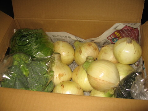 大好評，地層が違う淡路島、新玉ねぎスーパーアップ２キロ(風袋込み)