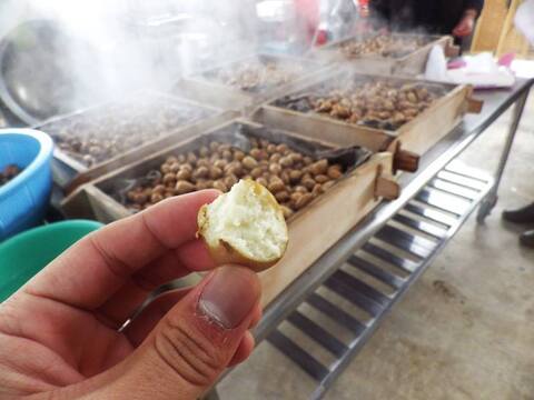 寒さに耐えて甘くなった！アピオス　500g【１～２月限定】