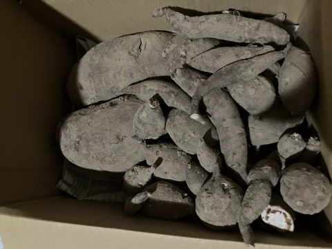 先着1名様！訳あり自然栽培シルクスイート2kg